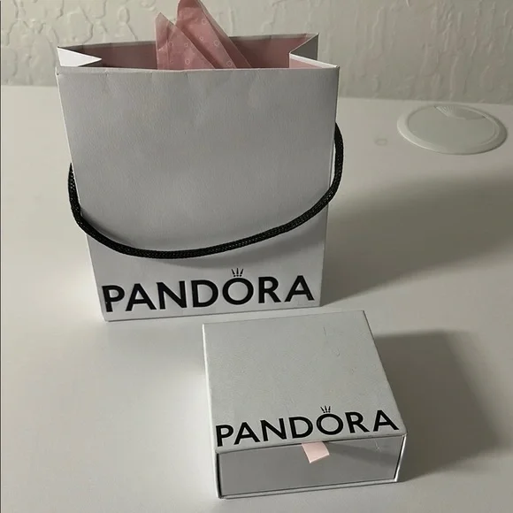 New Pandora silver charm bracelet with gift Bag & charm box - Picture 6 of 15